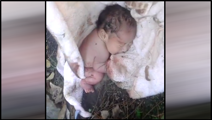 This baby was lying in a park in the towel. Shocking events occurred after (Photo, Video)
