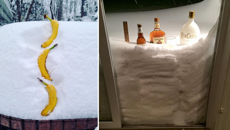 How americans spend time in #snowmageddon2016 (Photos)