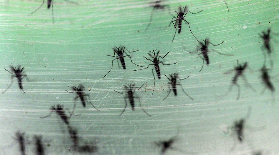 Zika virus: What you need to know about the latest global health scare