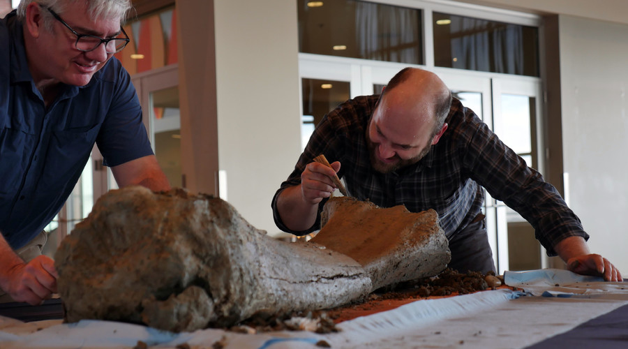 Surprise! Workers uncover 10,000-year-old mammoth bones at Oregon stadium (VIDEO)