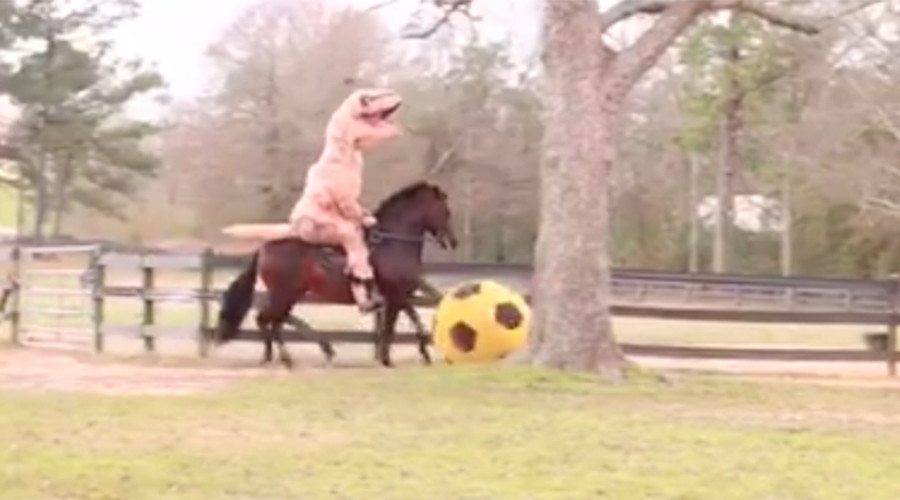 Epic randomness: T-Rex rides horse that kicks giant football (VIDEO)