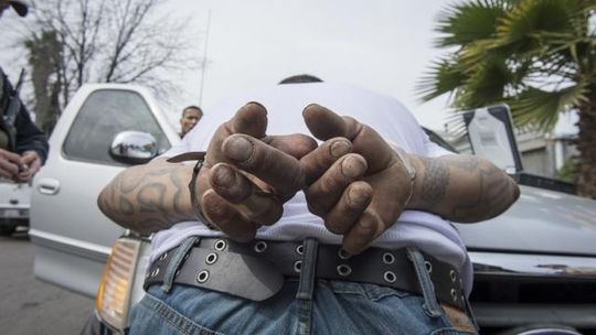 Feds arrest 8,000 violent fugitives in sweep