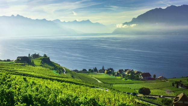 D6K868 Lavaux terraced vineyards on Lake Geneva, Montreux, Canton Vaud, Switzerland, Europe