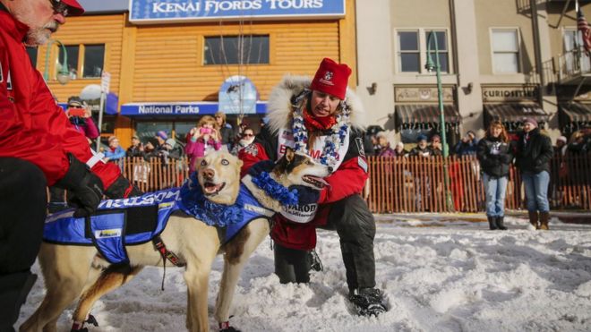 Snowmobile ‘driven into dog-sleds’ in Alaska Iditarod race