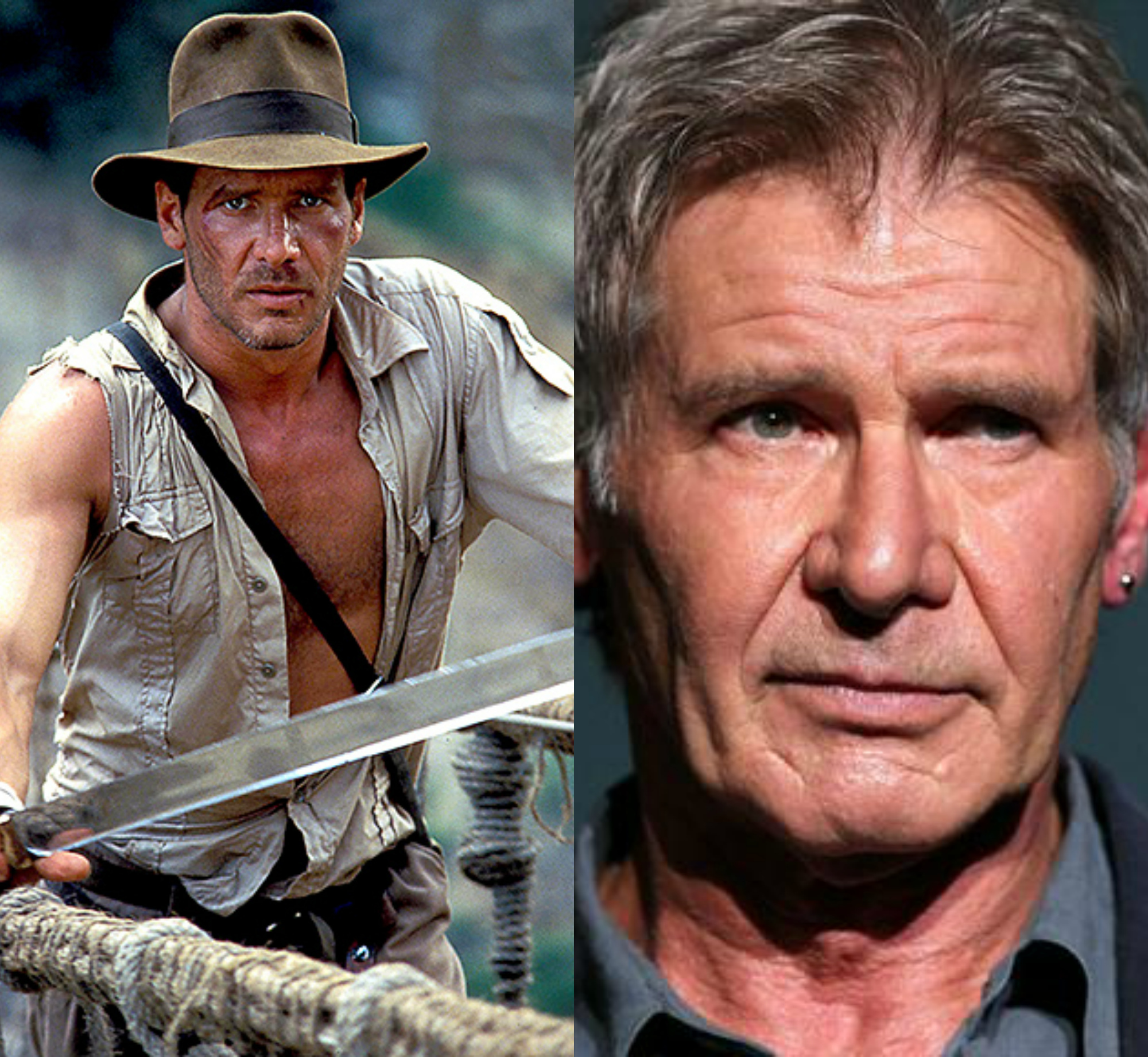Break Out the Whip! Harrison Ford to Return in Indiana Jones 5