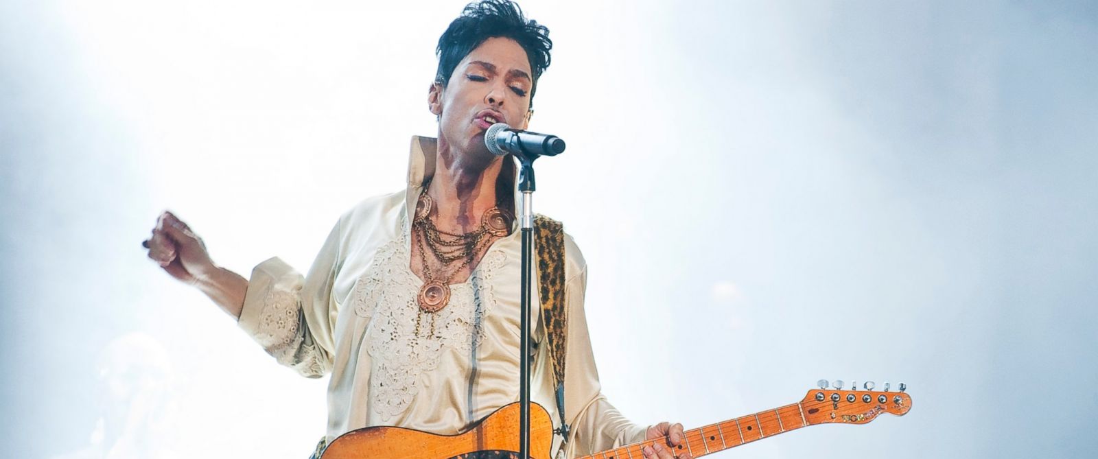 Who Stands to Inherit Prince’s Estate