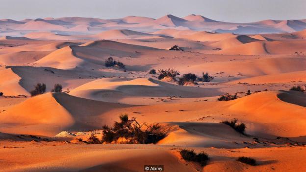 E08ERC Sand dune landscape in Arabian desert.