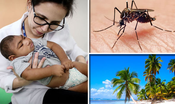 WARNING: Exposure to tropical dengue virus spread by MOSQUITOS may increase ZIKA risk