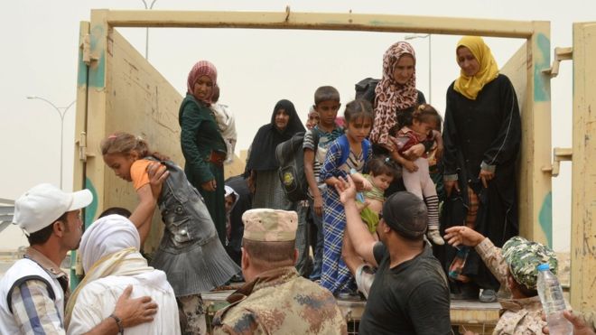 IS conflict: Falluja ‘humanitarian disaster’ warning
