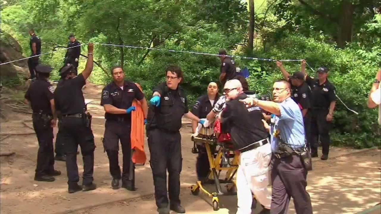 Man Severely Injured by Explosion in New York’s Central Park