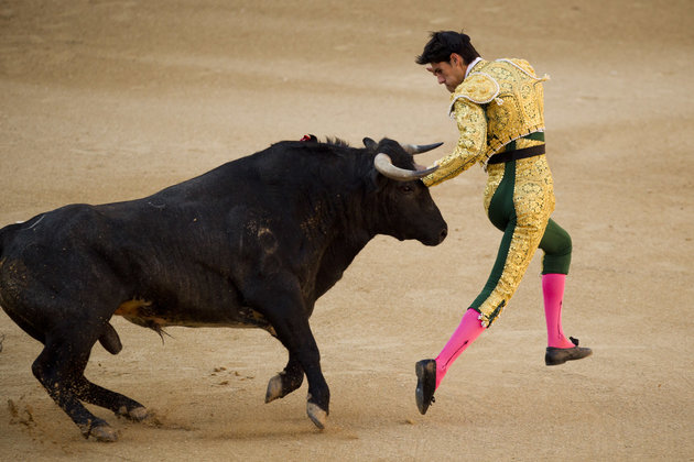 Watch: Spanish Bullfighter Gored To Death In The Ring