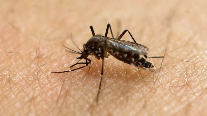 Florida investigates four mysterious Zika infections