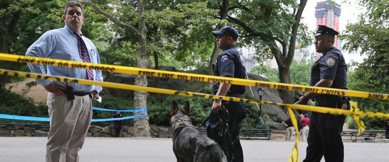 Traces of TATP Explosive Identified in Central Park Blast, Police Offer Reward