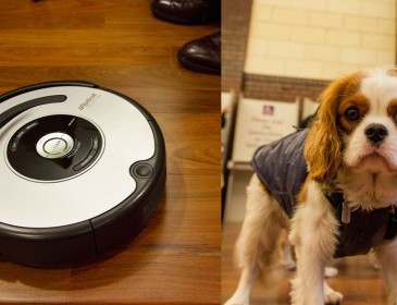 The Pooppening: Roomba spreads poop all over house
