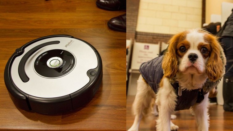 The Pooppening: Roomba spreads poop all over house