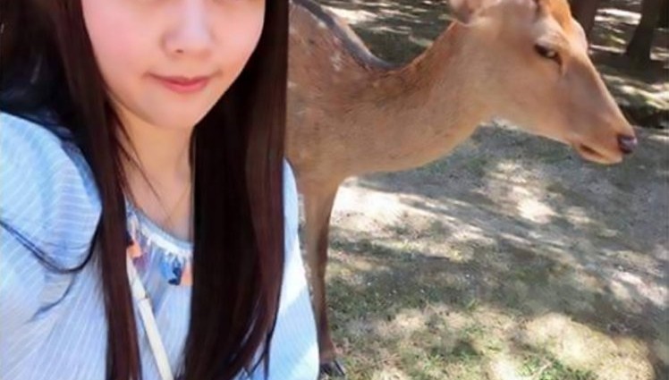 Deer gives tourist serious side-eye for taking annoying selfie
