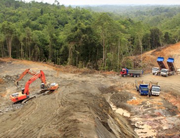 Indonesia First Country To Recieve EU’s New Timber Licence To Combat Illegal Logging