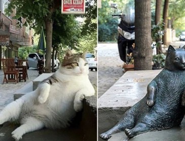 Istanbul’s favourite cat has been honoured with a bronze statue in his special lounging spot