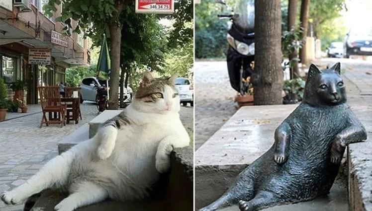 Istanbul’s favourite cat has been honoured with a bronze statue in his special lounging spot