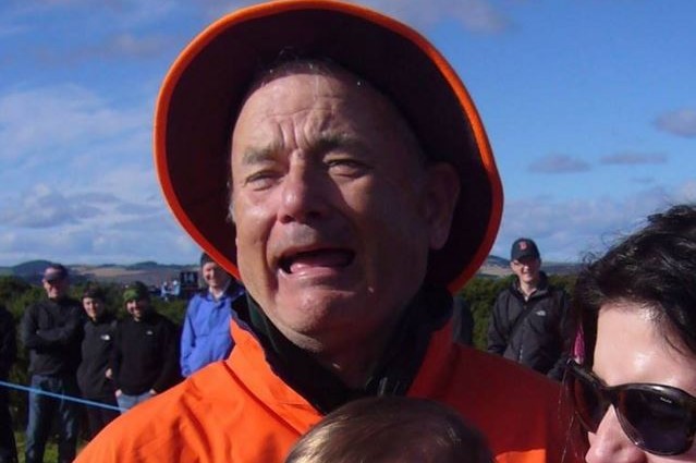 Bill Murray or Tom Hanks? The internet’s latest optical illusion has everyone confused