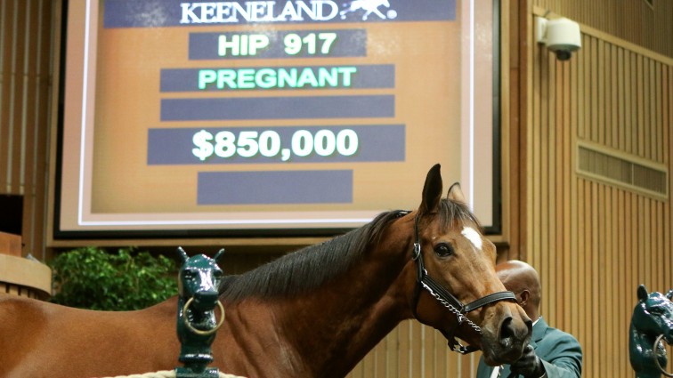 Moment Of Majesty tops Keeneland at $850,000