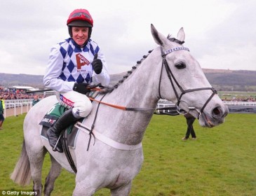 Simonsig suffers fatal injury after fall during Shloer Chase at Cheltenham