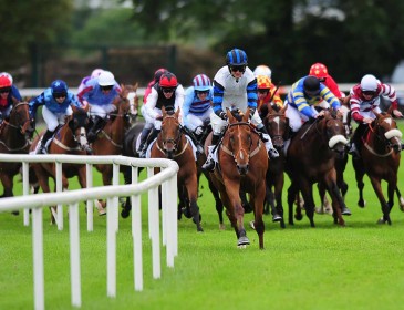 Horse Racing Ireland nominations have been announced