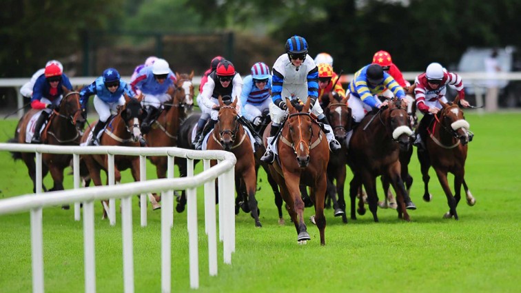 Horse Racing Ireland nominations have been announced
