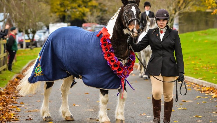 First ever Remembrance service held for fallen war horses