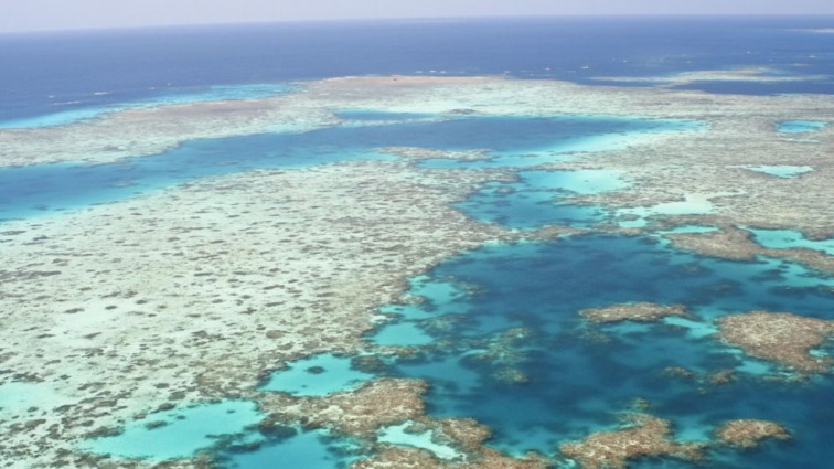 A Briton has died at the Great Barrier Reef
