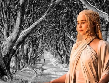 Game of Thrones Dark Hedges voted one of world’s most beautiful places
