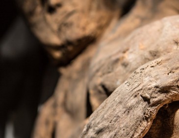 Child mummy sheds light on the ancient history of deadly smallpox