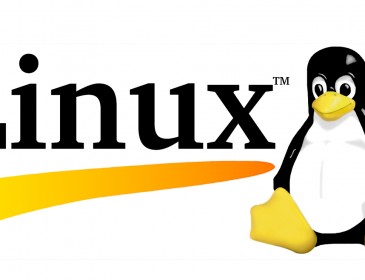 Linux is part of the IT security problem, dev tells Linux conference