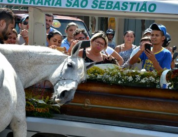 Heart-breaking moment horse cries at owner’s funeral