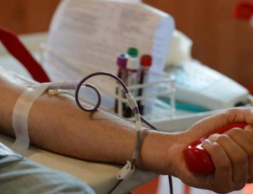 Еще один шаг интеграции в общество: в Швейцарии гомосексуалистам разрешили быть донорами крови