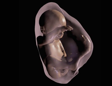 До чего техника дошла: китаянка родила ребенка из эмбриона 16-летней давности