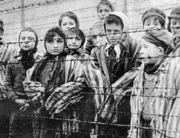 «Гитлер был гением»: школьница-еврейка подала в суд на школу за антисемитские оскорбления