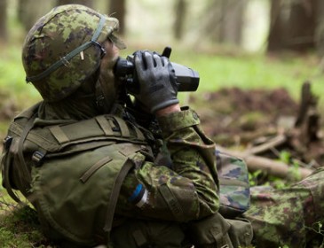 Эстония объявила о радикальных изменениях в обороне страны