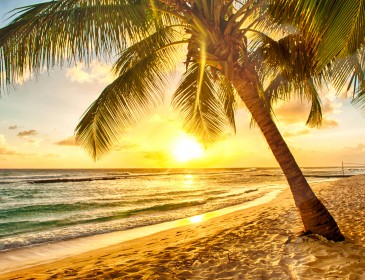 Дом восходящего солнца: на Гавайах туристам продают… рассвет