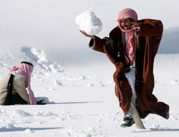В Арабских Эмиратах выпал 10-сантиметровый слой снега (ВИДЕО)