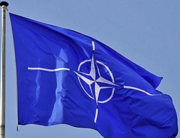 Внутри НАТО зреет конфликт – СМИ