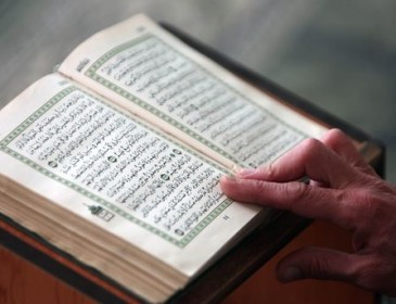 В Дании разрешили публично сжигать Кораны и Библии