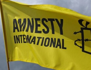 Власти Турции арестовали главу и сотрудников Amnesty International