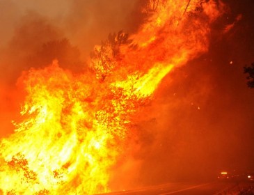 В Москве на ходу сгорел автобус: Горело как в аду (фото)