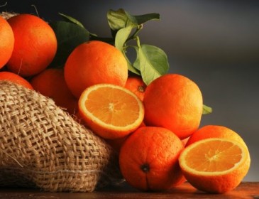 В Германии ищут «смотрителя за растущей апельсинами»: 20 тыс. евро за год!