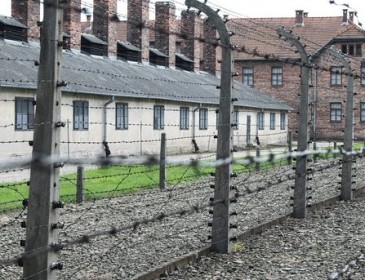 Студентка украла из музея Освенцима экспонаты для своего арт-проекта