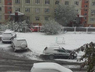 В России выпал первый снег: появились фото