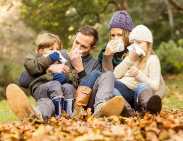 Осень без простуды: вкусный способ укрепить иммунитет