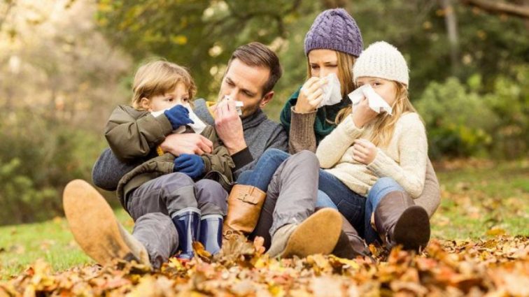 Осень без простуды: вкусный способ укрепить иммунитет