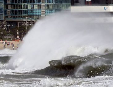 На побережье Японии обрушился тайфун «Лан», есть жертвы